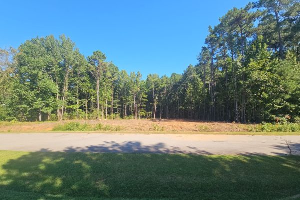 Home Place Ct, Nashville, NC 27856